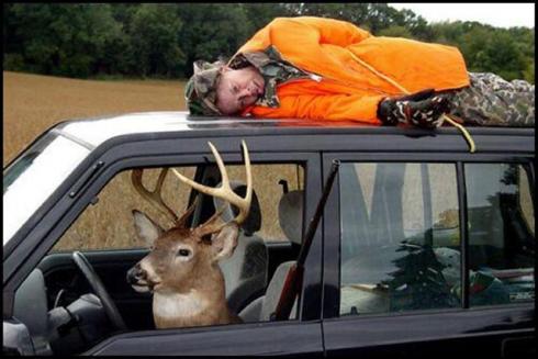 Das Bärengebrüll wird schon wieder lauter, 159486