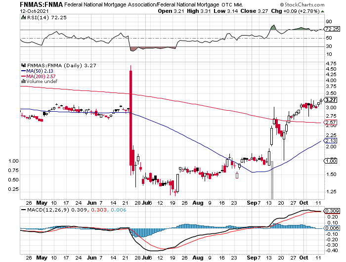 Fannie Mae - Chance auf Verdreifachung bis Juli 1278769