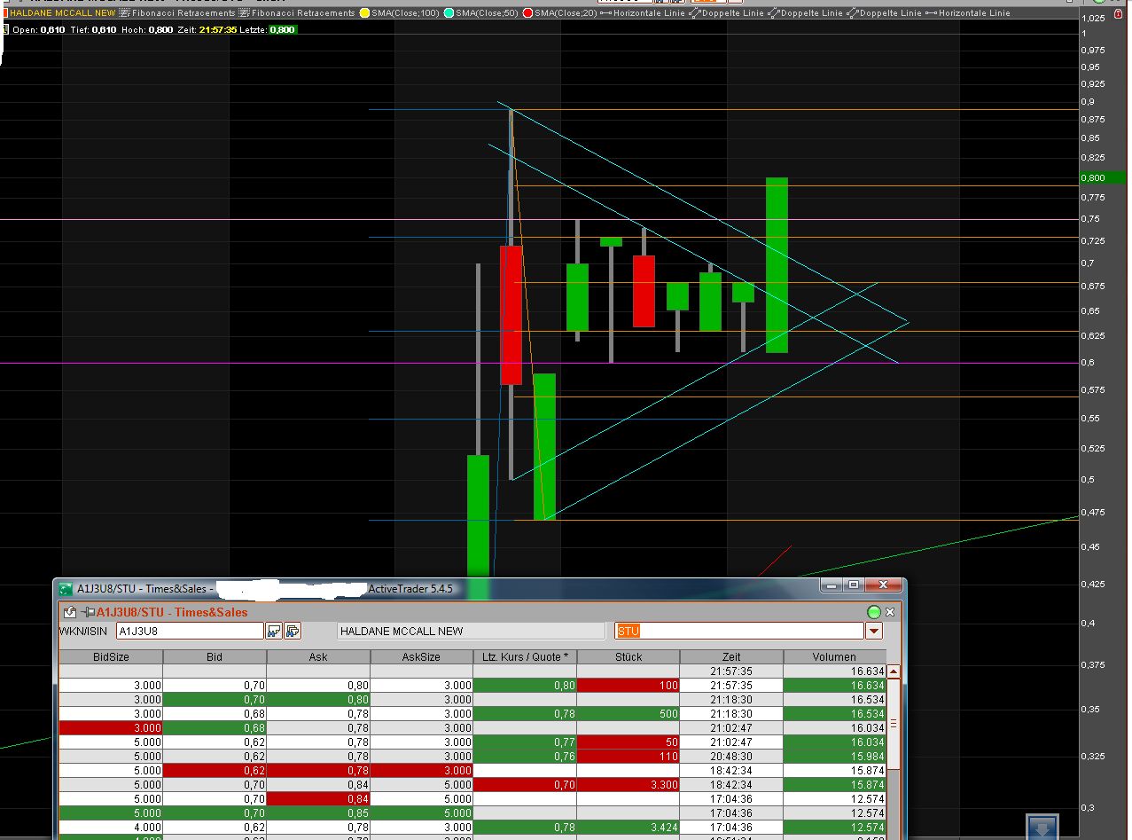 Haldane McCall PLC erzielt € 5,88 Millionen Gewinn 622622