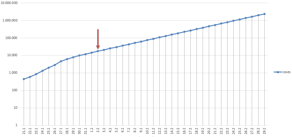 Corona Portfolio Short 1157479