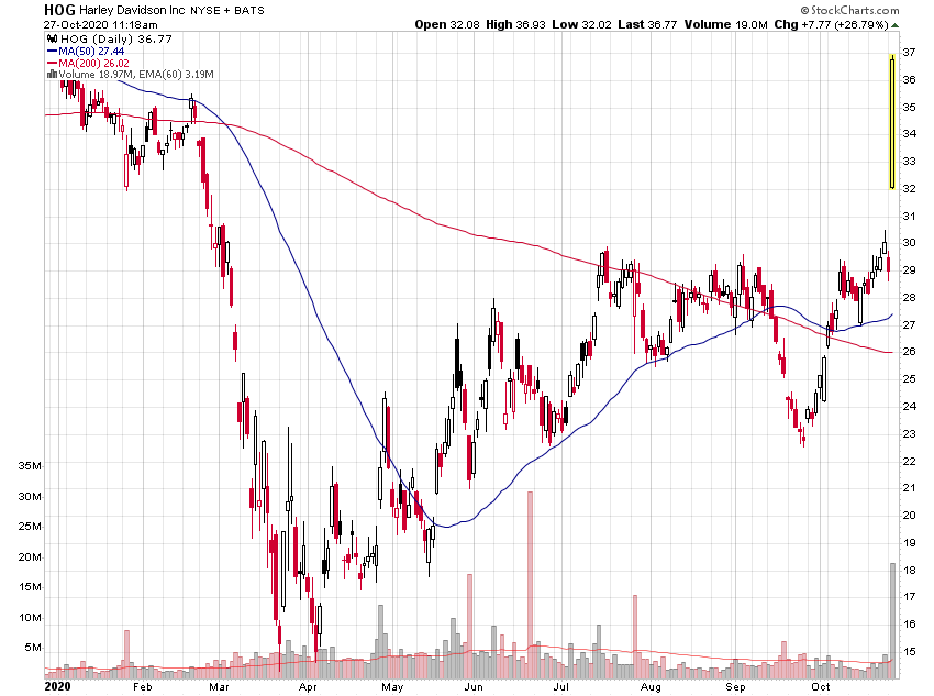 Der USA Bären-Thread 1209182