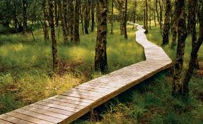 2014 QV DAX-DJ-GOLD-EURUSD-JPY 701181