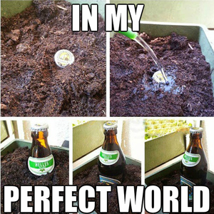 Steinhoff International Holdings N.V. 1050171