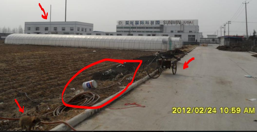 STEVIA für TABAK !! 581963