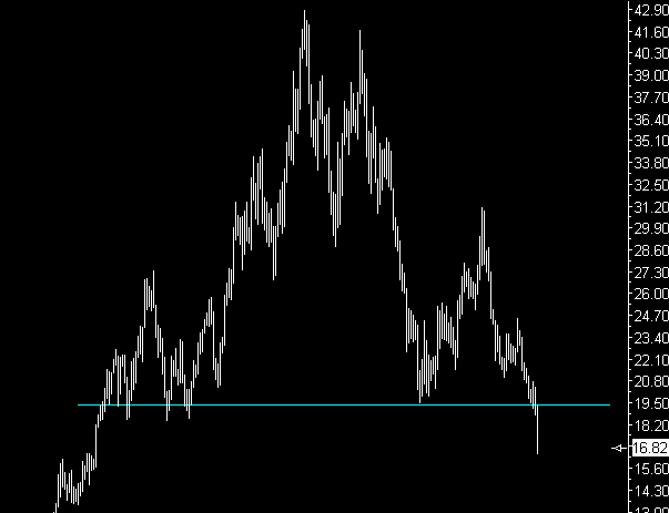 Der USA Bären-Thread 111419
