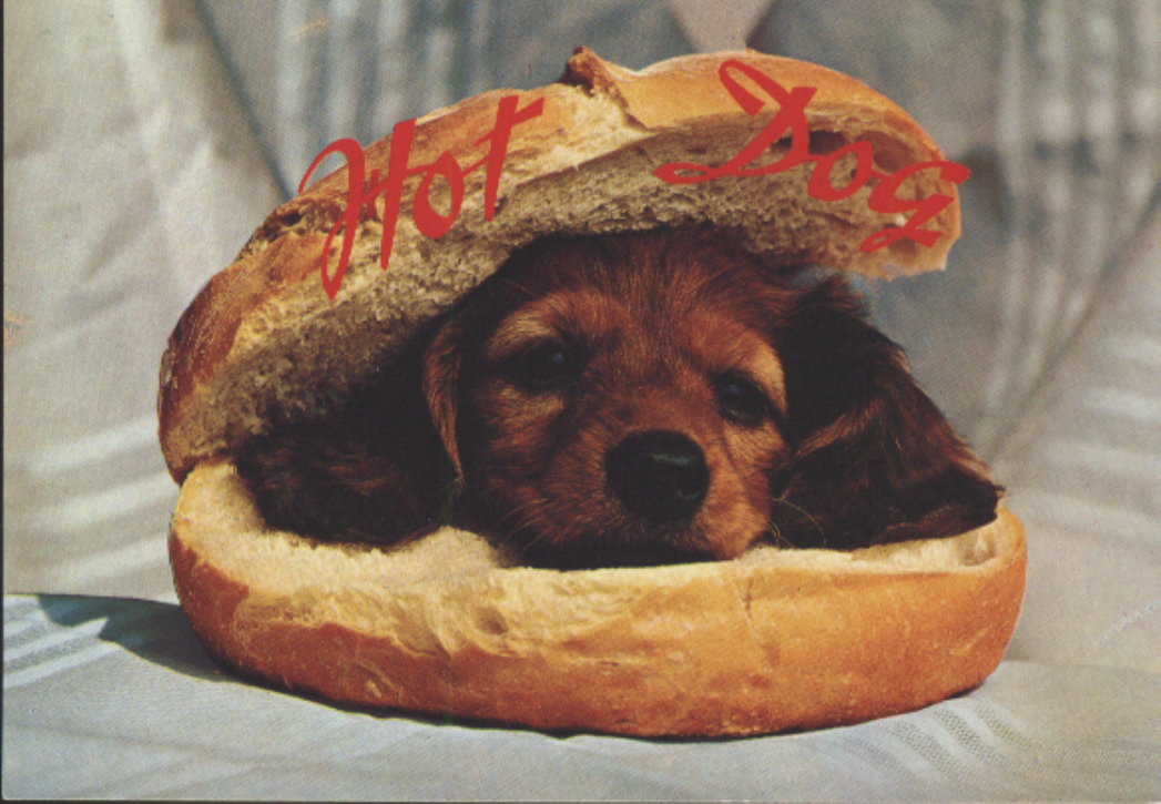 es kann los gehen! 701849