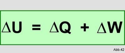 Der USA Bären-Thread 870019