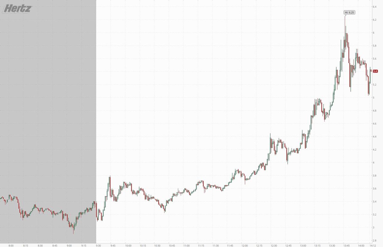 Der USA Bären-Thread 1183535