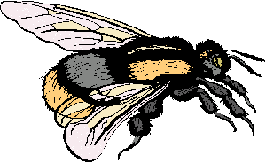 Hummels Börsenbrief - kluge Investments 225944