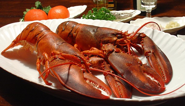 Keiner will Saab und Hummer 212929