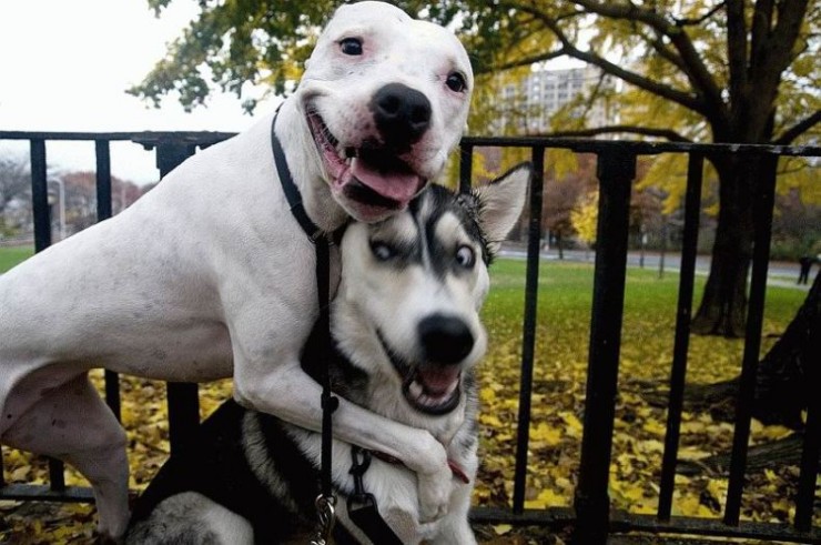 566.DAX Tipp-Spiel, Dienstag, 03.07.07 106721