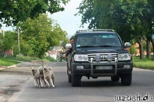 QV ultimate 2012 497299