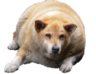 QV ultimate 2012 542834