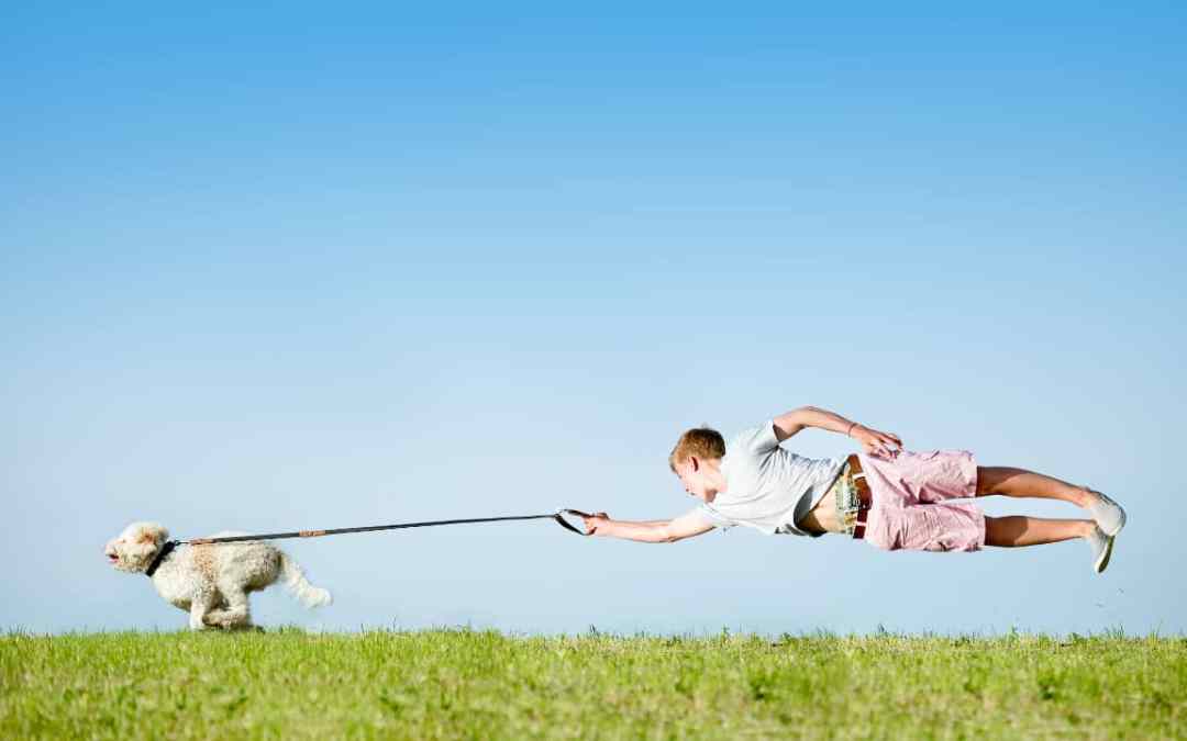 Biotech-Star BioNTech aus Mainz 1205312