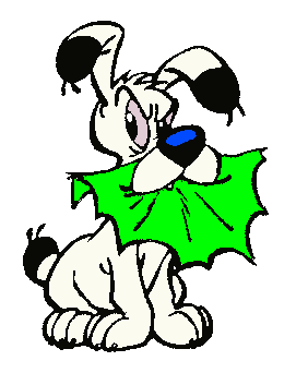 5 Sterne Award für diese Jahresperformance 2012 972445