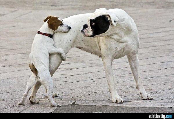 E.on SE - Chance oder Risiko 624633