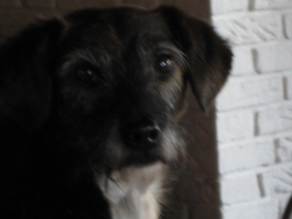 Arcandor AG Kursziel 40 €+x 279708