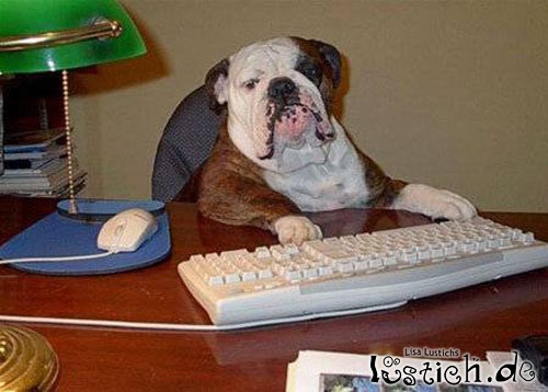 Gibt`s denn hier nix zu K+S? o. T. 211089