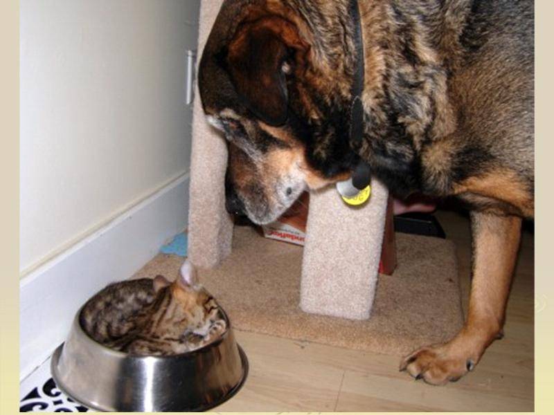 150.000 AIG Wkn 859520 zu 6,00 GEKAUFT 187314