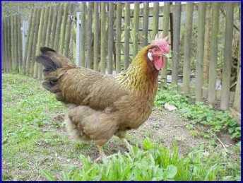 Konsolidierung oder gibts ne Korrektur? 60312