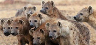 Bitcoins der nächste Monsterhype steht bevor! 1183692