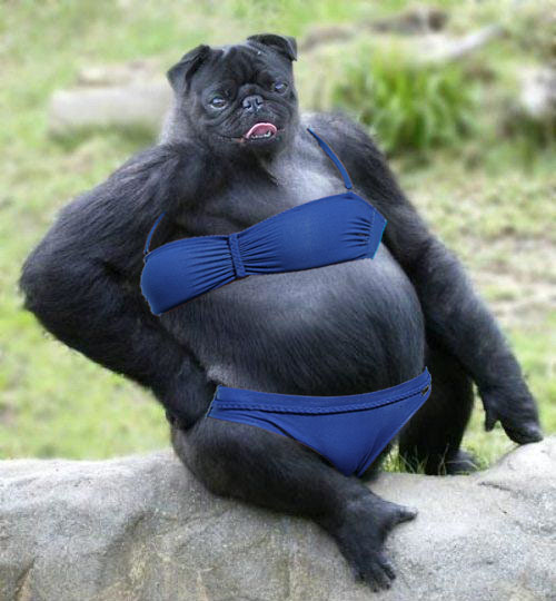 2016 QV DAX-DJ-GOLD-EURUSD-JPY 893630