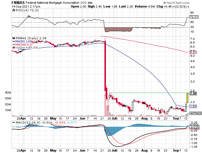 Fannie Mae - Chance auf Verdreifachung bis Juli 1274053