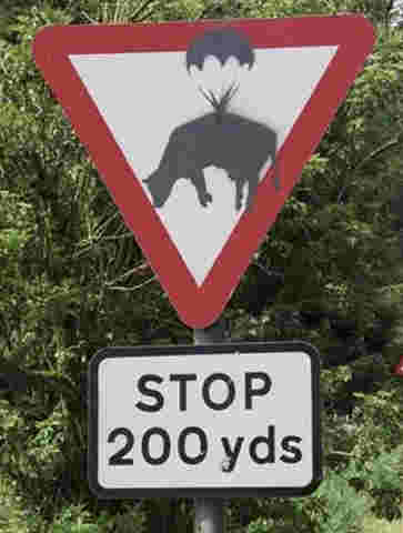 Infineon, ka Put 2012 521789