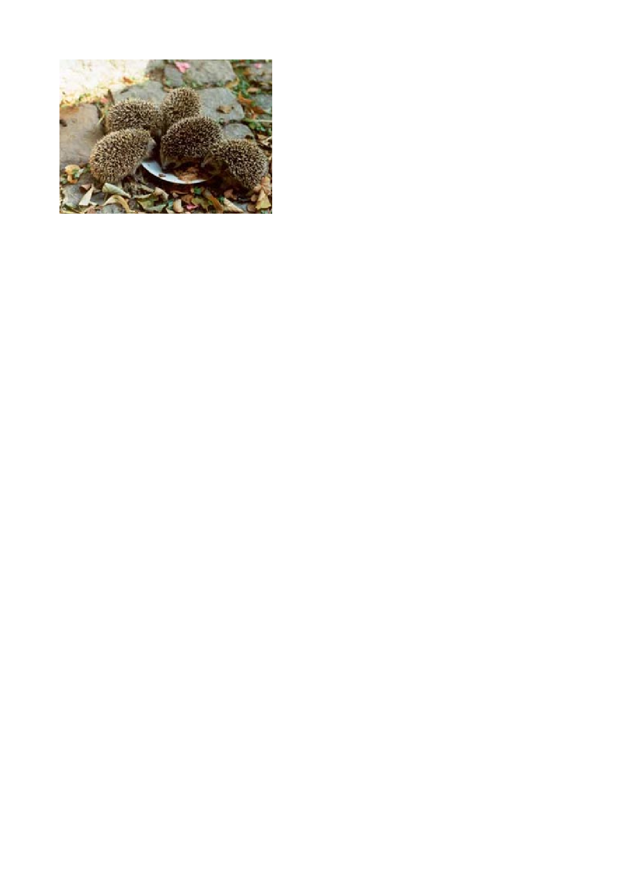 Aktiendepotvergleich 2011 - Endthread 472258