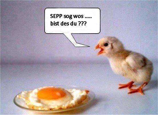 Coop SK Tippspiel (ehem. WMIH) 611377