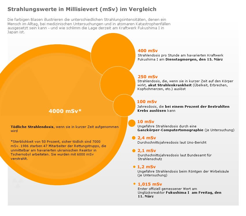 Der USA Bären-Thread 388597