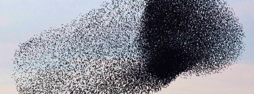 2013 QV DAX-DJ-GOLD-EURUSD-JPY 660953