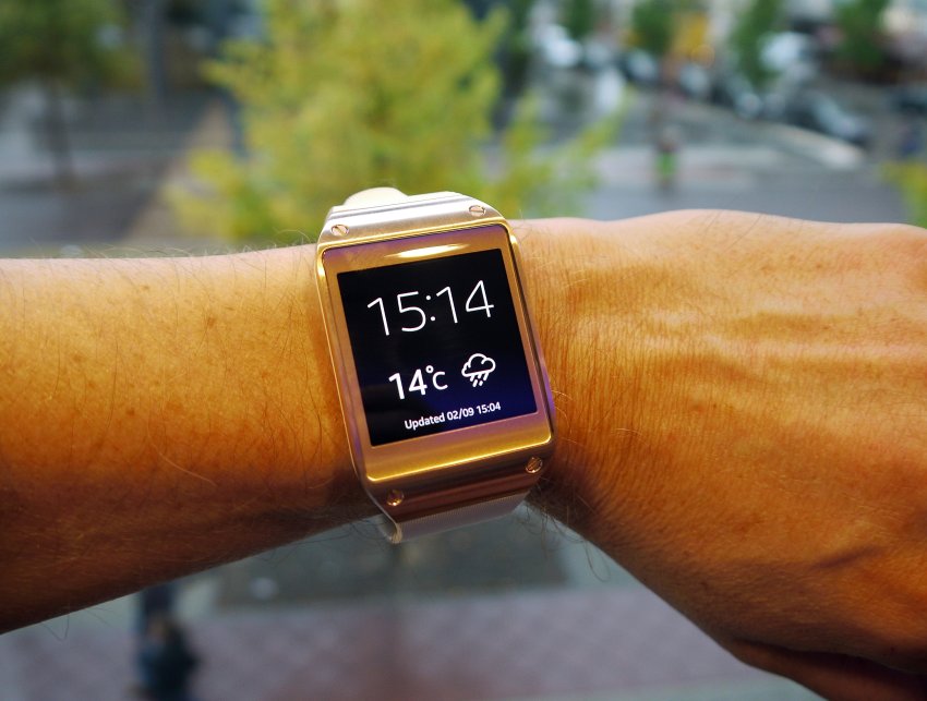 Der USA Bären-Thread 641005