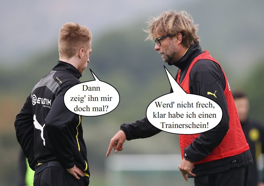 14 Gründe für ein Investment in BVB. 784077