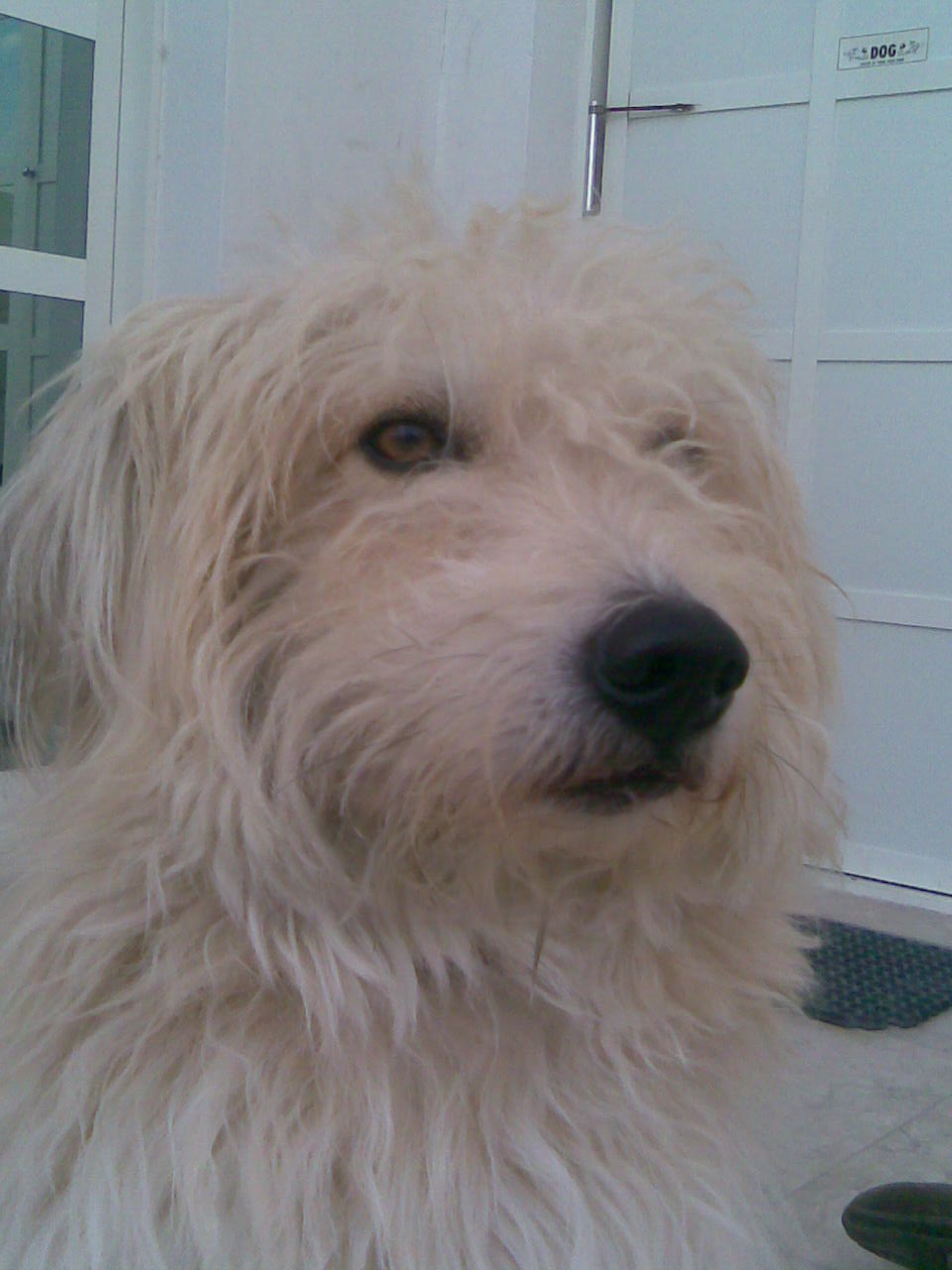 Leute schnell noch positionieren! 140679