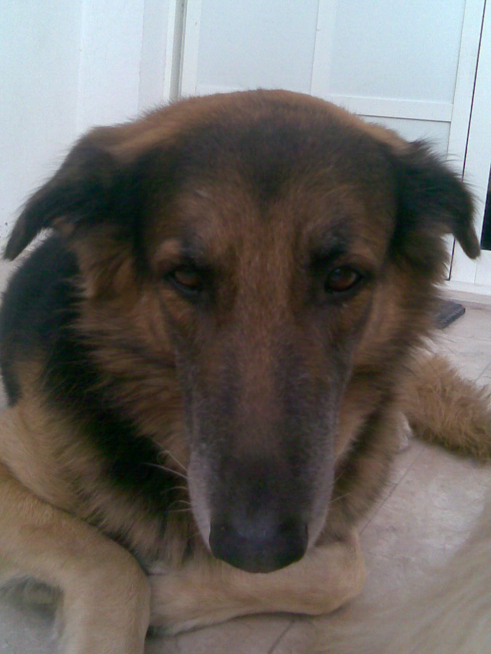 Leute schnell noch positionieren! 140680