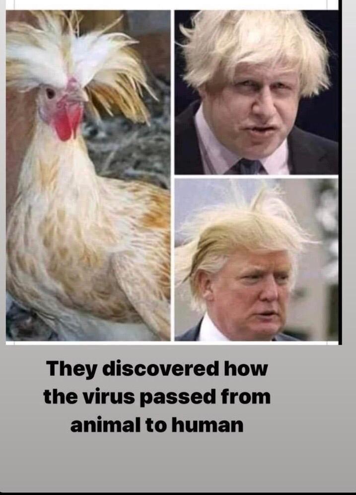 2020 QV-GDAXi-DJ-GOLD-EURUSD-JPY 1168491