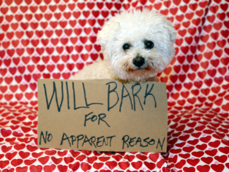 Wenn das Gold redet, dann schweigt die Welt! 1148222