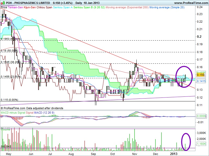 Huge Potential 300% + 571064