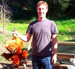 Facebook der Anfang vom Ende der Tulpen-Hausse? 573766