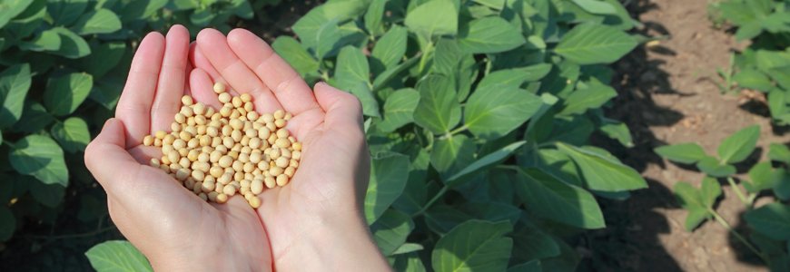 Evonik.................Chemiekonzern 600695