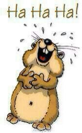 Aqua Society neuer Hype?? 671806