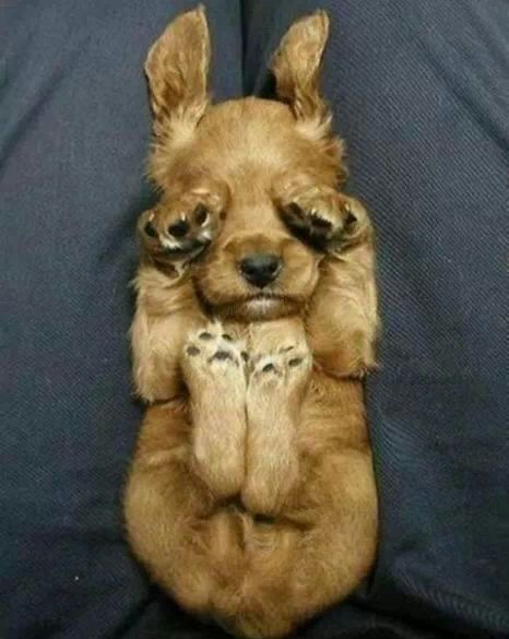 Aqua Society neuer Hype?? 671900