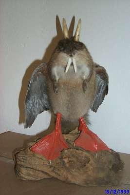 Apple , das erste Billione-MK Unternehmen? 677717