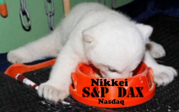 QV ultimate (unlimited) 713379