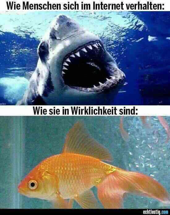 Zukunft gesichert! 767488