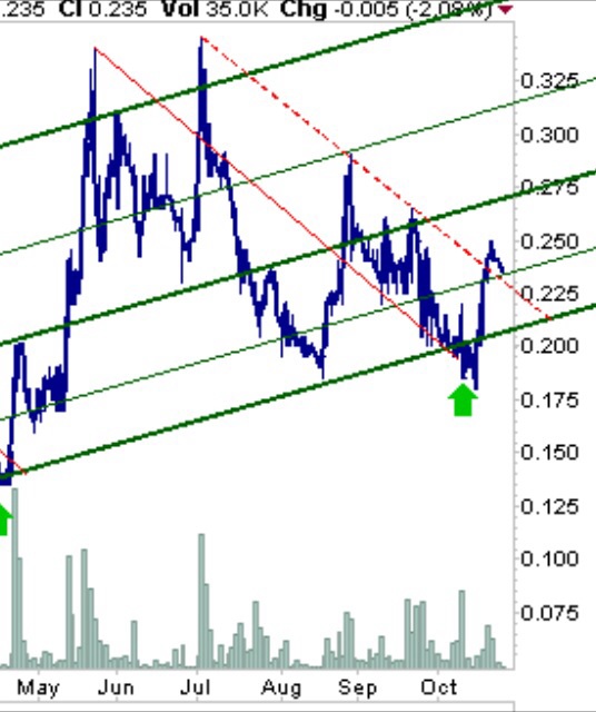 COMMERCE RESOURCES (€ 0,208) 768721