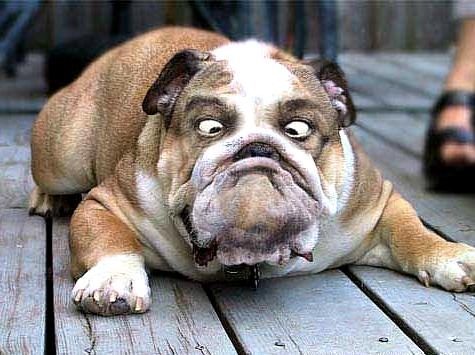 COMMERCE RESOURCES (€ 0,208) 771444