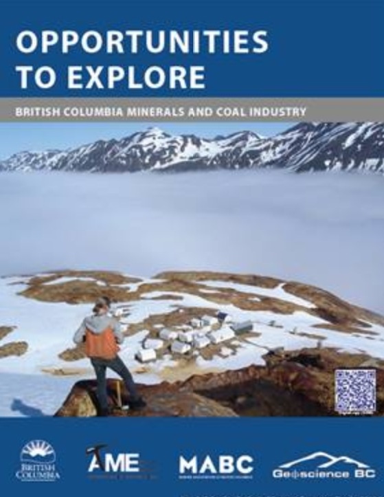 COMMERCE RESOURCES (€ 0,208) 786099