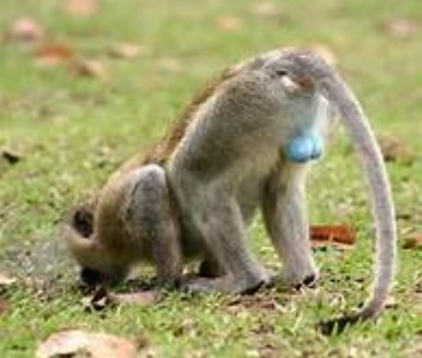 COMMERCE RESOURCES (€ 0,208) 792276